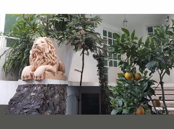 Roomgo MX - HABITACIONES COYOACÁN Zona de Hospitales Tlalpan ESTUDIANTE-RESIDENTE, Coyoacán - MX$4,500 por mes