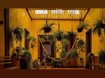 Roomgo MX - En el centro/ downtown/ centre ville, Guadalajara - MX$4,200 por mes