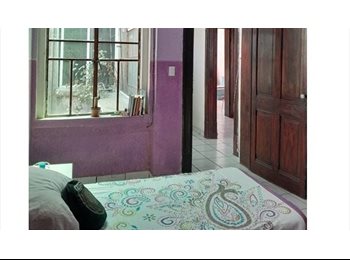 Roomgo MX - Habitación Individual en Casa Rustica Compartida Por 2 Roommate En Roma Norte, Cuauhtémoc - MX$5,250 por mes