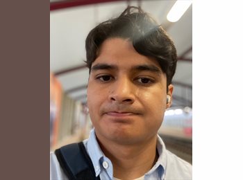 Roomgo MX - Mario - 29 - Monterrey