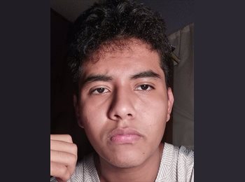 Roomgo MX - Edwin Elias  - 23 - Cuernavaca