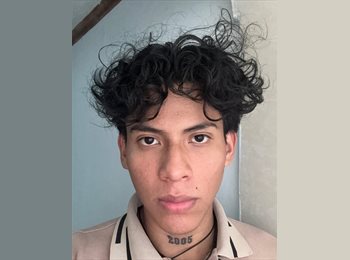 Roomgo MX - José Armando  - 20 - Cancún