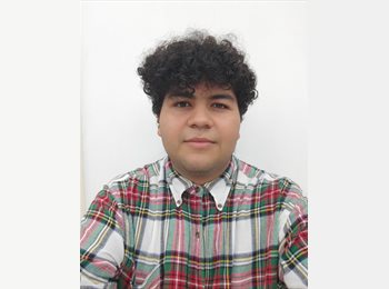 Roomgo MX - Ivan - 27 - Querétaro