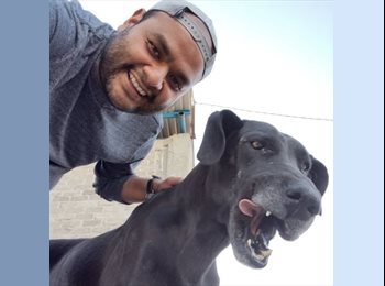 Roomgo MX - Guillermo - 33 - León