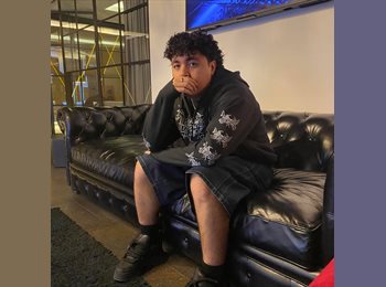 Roomgo MX - Dante - 25 - México - D.F.