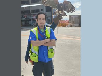 Roomgo MX - Alejandro Villegas  - 30 - Monterrey