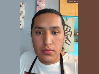 Roomgo MX - Tadeo  - 20 - Querétaro