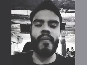 Roomgo MX - Alejandro - 30 - Querétaro