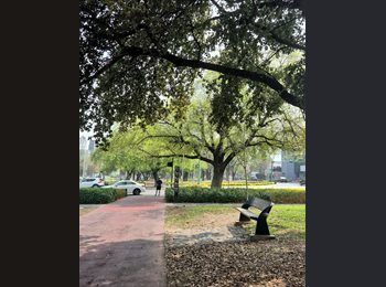 Roomgo MX - Meztli Córdoba - 45 - Santa Catarina