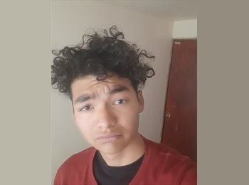 Roomgo MX - David - 21 - Cuautitlán Izcalli