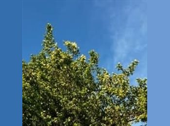 Roomgo MX - Angelica - 22 - Monterrey