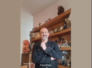 Roomgo MX - angel mauricio - 58 - México - D.F.