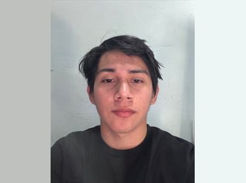 Roomgo MX - Esteban Uriel Sibaja Alejandro - 18 - Mérida