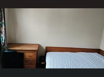 Roomgo NZ - Union St flat room for rent!, Dunedin - $180 pw
