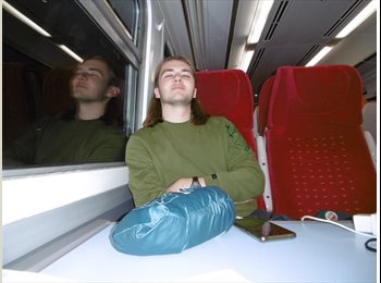 Roomgo NZ - Benjamin THIERY - 20 - Christchurch