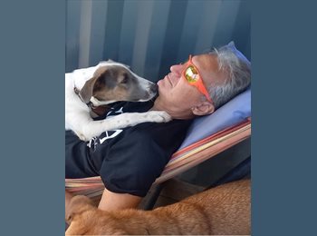 Roomgo NZ - David - 62 - Auckland