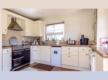 Roomgo UK - Double Room in North London for a female professional, Eastcote - £720 pcm