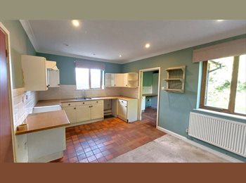 Roomgo UK - Rooms from £350 pcm including bills Small Heath, Small Heath - £350 pcm