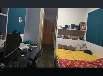 Roomgo UK - Immediately Avaliable Ensuite Student Accomadation, Bruntsfield - £892 pcm