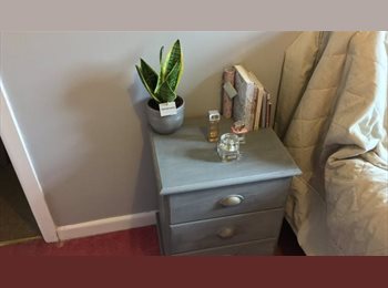 Roomgo UK - 1 Spacious Beautifully Decorated Single Room, Burnley - £600 pcm