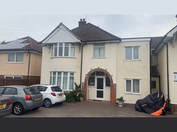 Roomgo UK - Double en suite room, Ipswich - £695 pcm