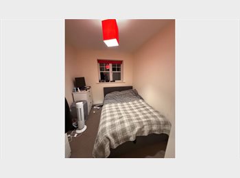 Roomgo UK - Double room for rent in Witham, Essex!, Witham - £800 pcm