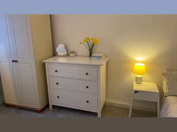 Roomgo UK - Double room to rent, Newquay - £650 pcm