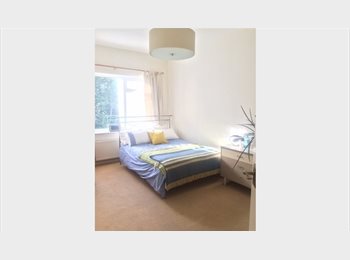 Roomgo UK - Lrge DBL sunny 7 Dials - close to station, The Lanes - £850 pcm