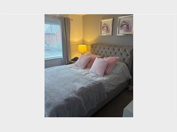 Roomgo UK - Large Double Room, Hockley - £650 pcm