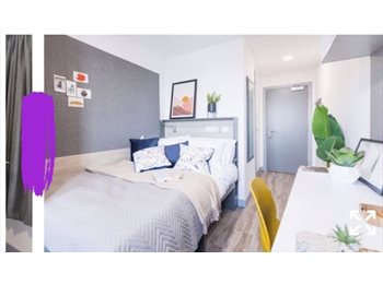 Roomgo UK - TENANCY TAKEOVER- ONE MONTHS RENT FOR FREE, Birmingham - £189 pcm