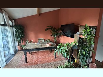 Roomgo US - 1 bdrm 1 attached bath in 1600 sq ft townhome, Highland - $1,100 pm