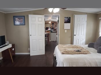 Roomgo US - LARGE ROOM FOR RENT, Sachse - $600 pm