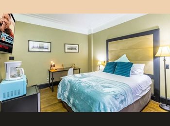 Roomgo US - The Studio King / 1 Bath / Midtown, Midtown - $2,900 pm