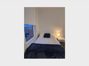 Roomgo US - Cozy Private Room Near Transit in Boston, Harbor View / Orient Heights - $1,500 pm