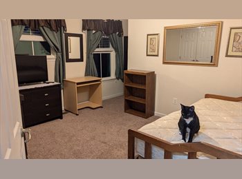 Roomgo US - One or one or two rooms for rent; price will vary, Charlottesville - $975 pm