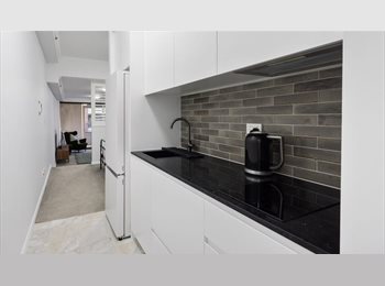 Roomgo AU - Freshly Renovated Studio Apartment with City Outlook, Sydney - $500 pw