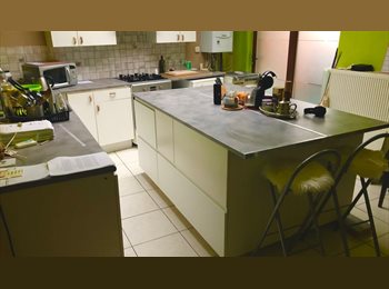 Appartager BE - Colocation, Liedekerke - 300 € pm