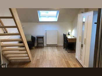 Appartager BE - Grande chambre avec douche privative dans coloc rénovée, Schaerbeek Schaarbeek - 635 € pm