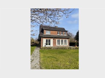 Appartager BE - Colocation à Hannut ville, Hannut - 500 € pm