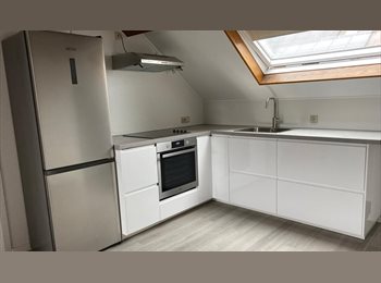 Appartager BE - Reprise de bail – Charmant studio lumineux à 5 min de la place Flagey - Ixelles, Ixelles-Elsene - 810 € pm