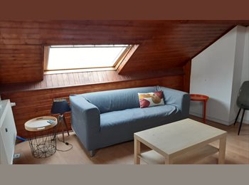 Appartager BE - Bel studio meublé, Saint Gilles Sint Gillis - 785 € pm