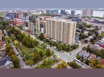 Roomgo CA - Furnished Rooms Available For Rent, Halifax - $1,000 pcm