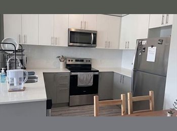 Roomgo CA - Cozy Room for rent, Edmonton - $850 pcm