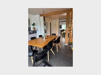 Roomgo CH - Chambre à louer, Suisse - 800 CHF / Mois