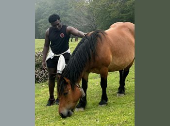 Roomgo ES - louis brian - 25 - Vitoria-gasteiz