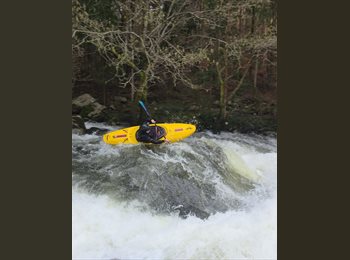 Roomgo ES - Carles - 28 - España