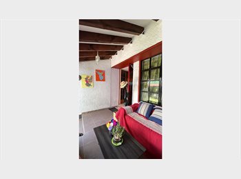 Roomgo MX - Gran habitación iluminada, Coyoacán - MX$7,500 por mes