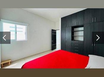 Roomgo MX - Recámara en Casa en Burgos con alberca privada, Temixco - MX$8,000 por mes