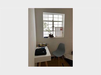 Roomgo MX - se renta un cuarto en hermosa Casa Lula, Guadalajara - MX$4,500 por mes