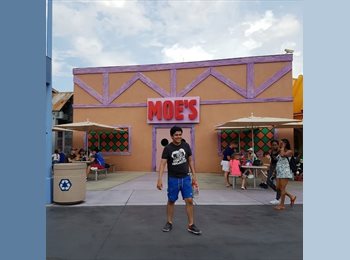 Roomgo MX - Cris - 26 - Alvaro Obregón